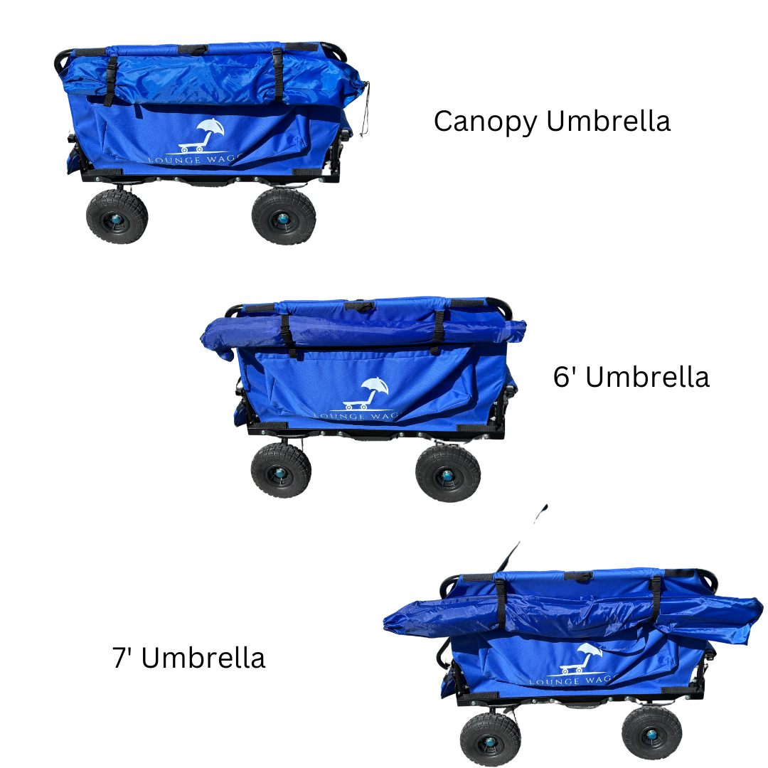 Canopy Umbrella