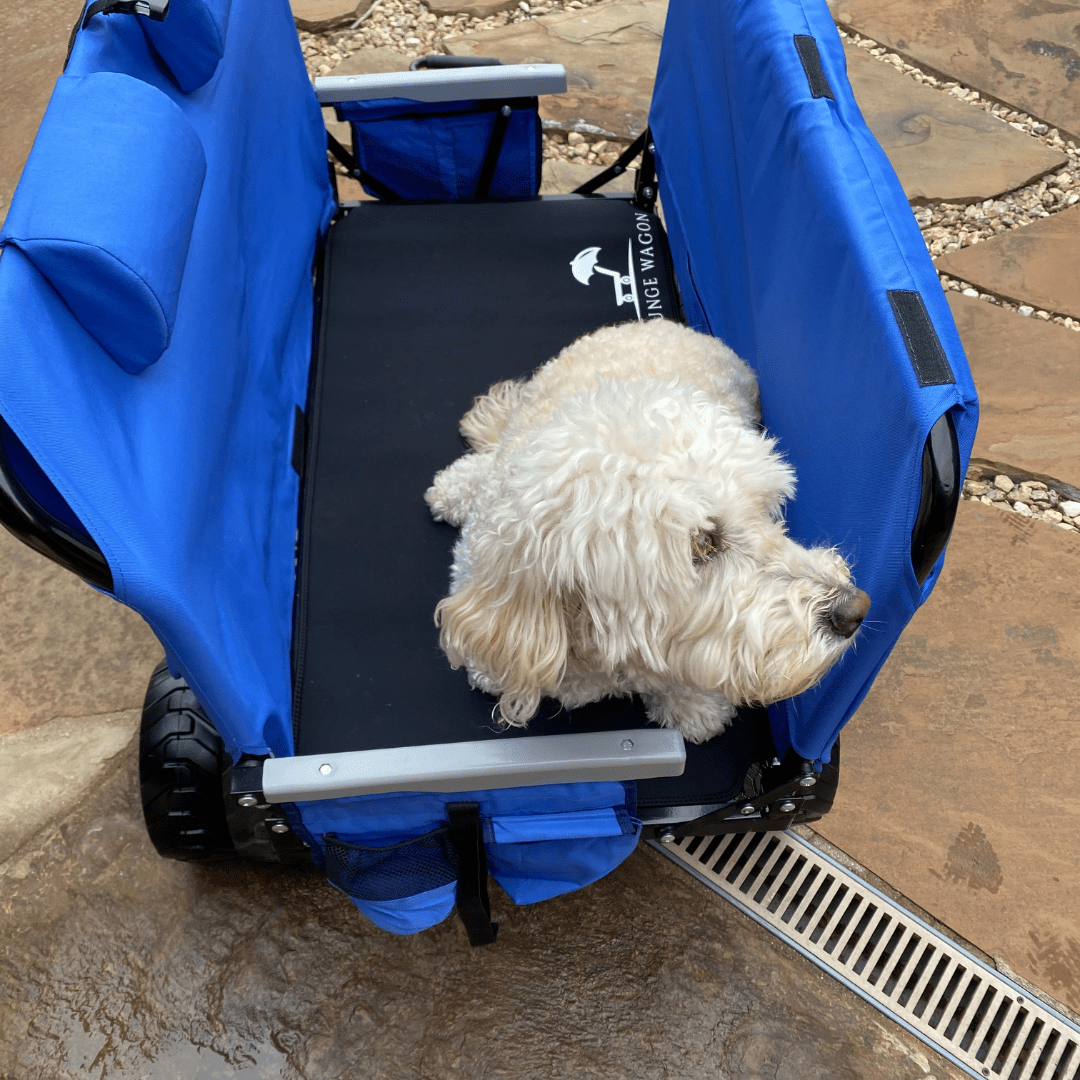 Malo'o Racks Lounge Wagon Cargo Pad