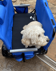 Malo'o Racks Lounge Wagon Cargo Pad