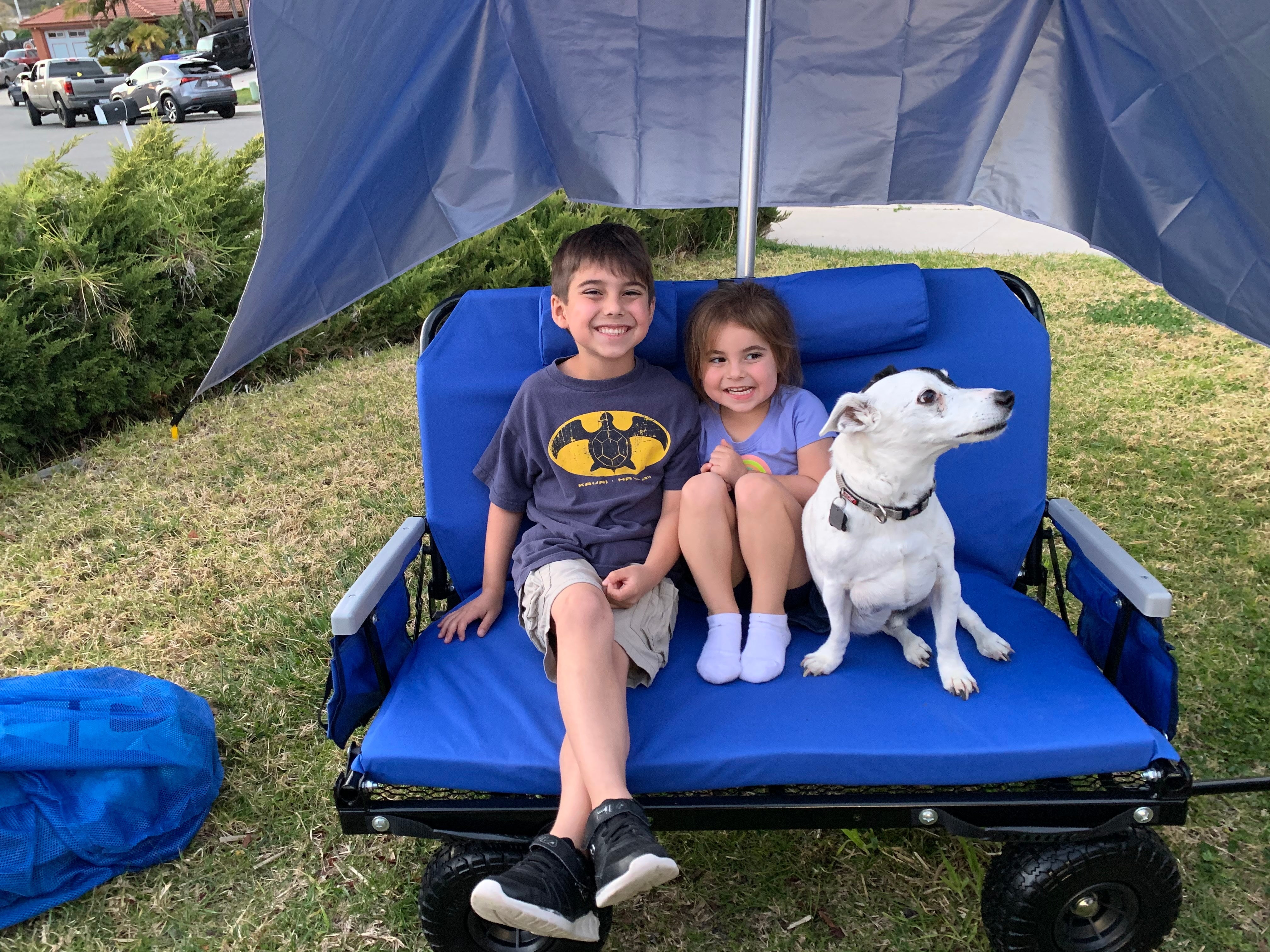A Parent's Guide to Choosing the Perfect Family Outdoor Wagon - Lounge Wagon