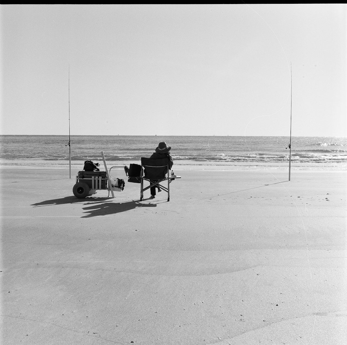 Beach Or Park? Choosing Between a Family Beach Wagon and a Sports Wagon - Lounge Wagon