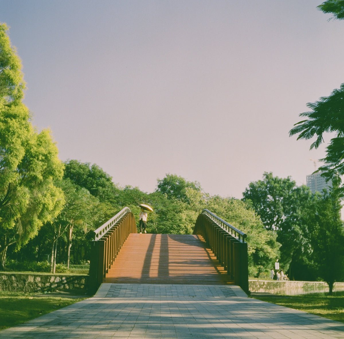 Discover the Best Park Day Ideas for Family Fun - Lounge Wagon