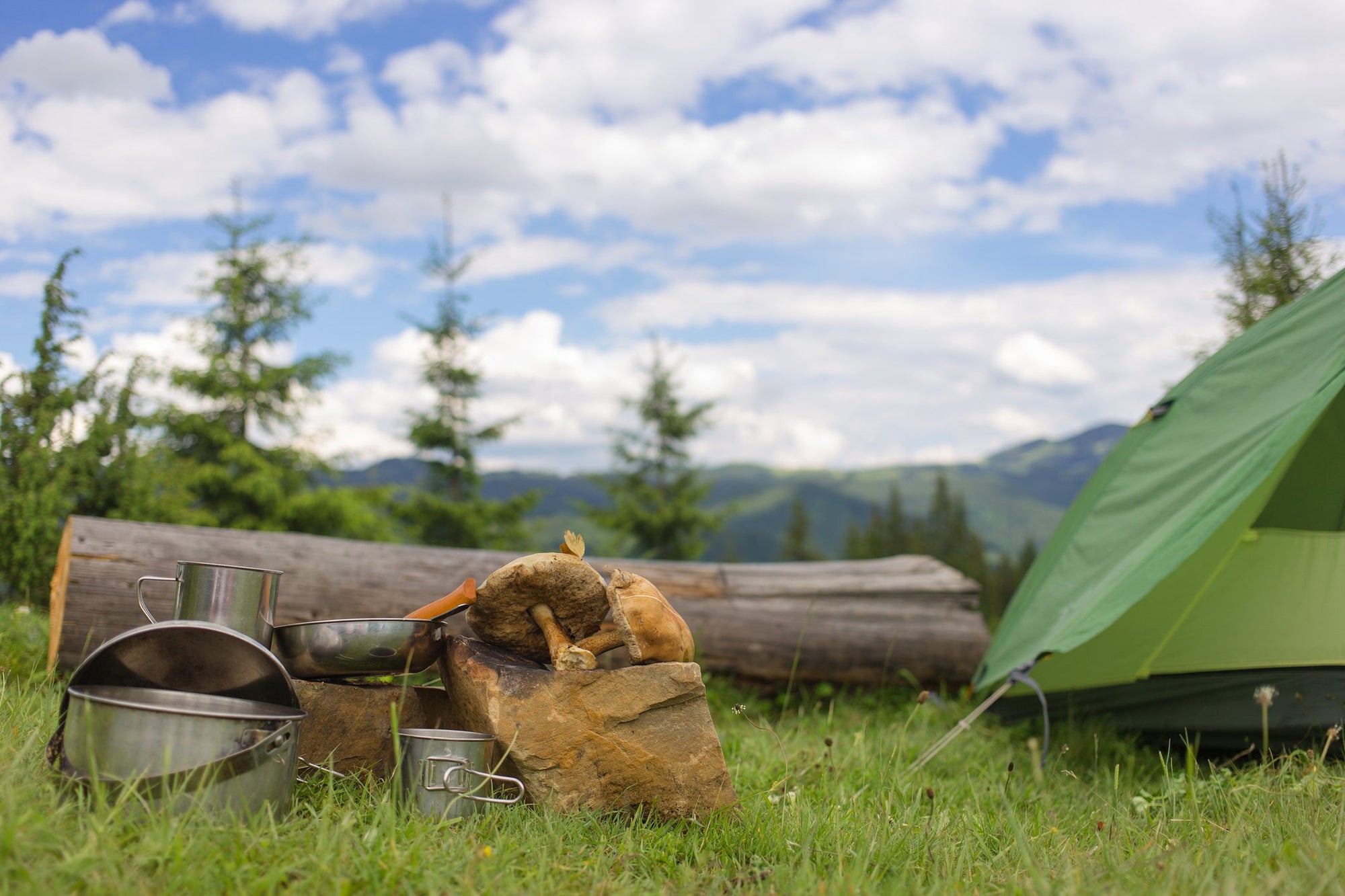 What characteristics make a great cooler backpack?