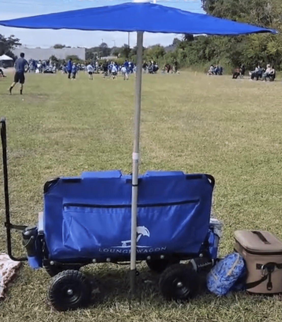 Lightweight Folding Cart With Wheels: Haul & Lounge - Lounge Wagon