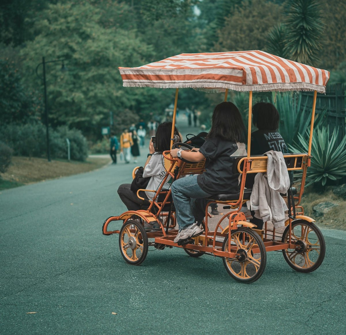Make Sideline Life Easier: Choosing the Right Park Picnic Wagon - Lounge Wagon