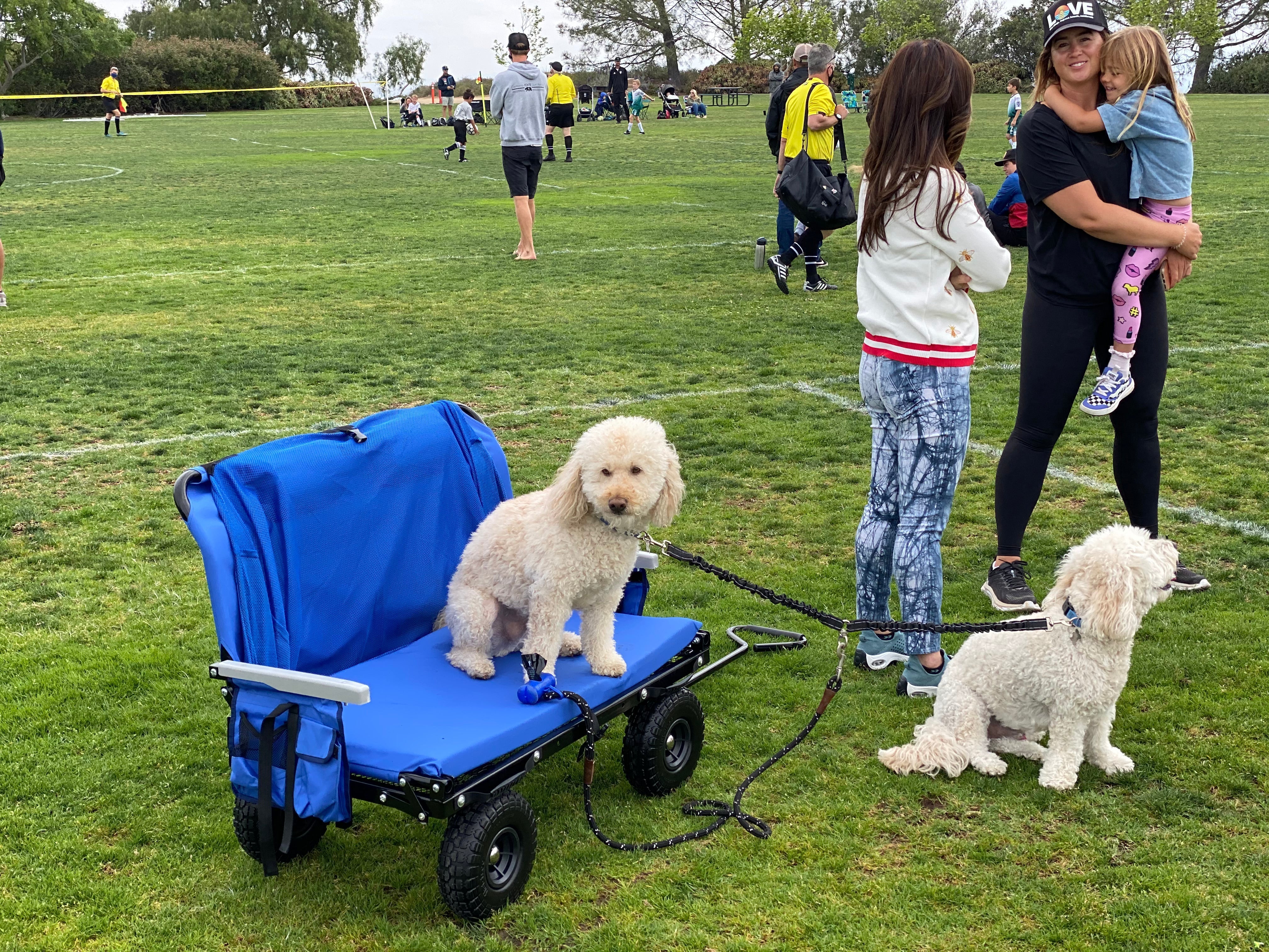 Park Picnic Wagon Essentials for Youth Sports Saturdays - Lounge Wagon