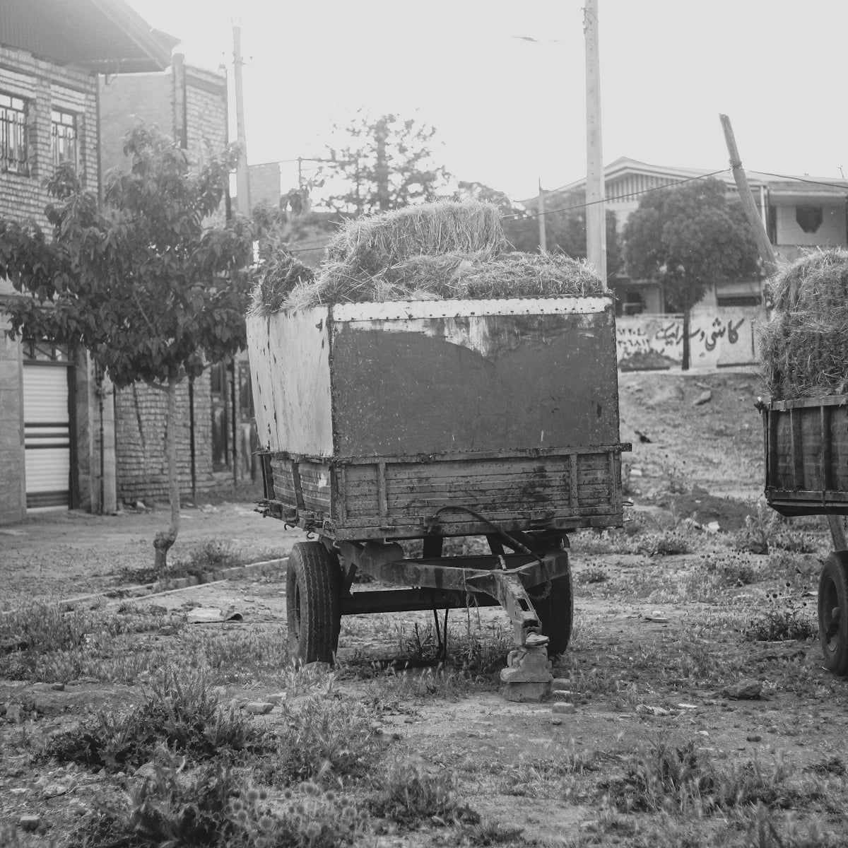 a black and white photo of a horse pulling a wagon full of hay