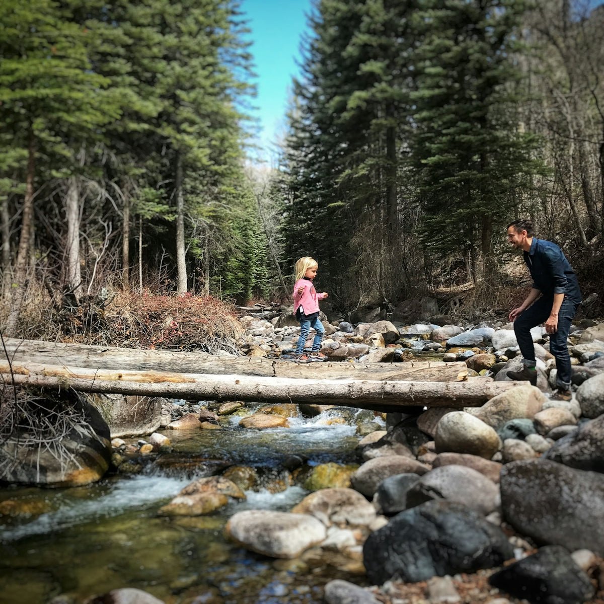 Revolutionize Your Family Outings with the Right Adventure Gear - Lounge Wagon