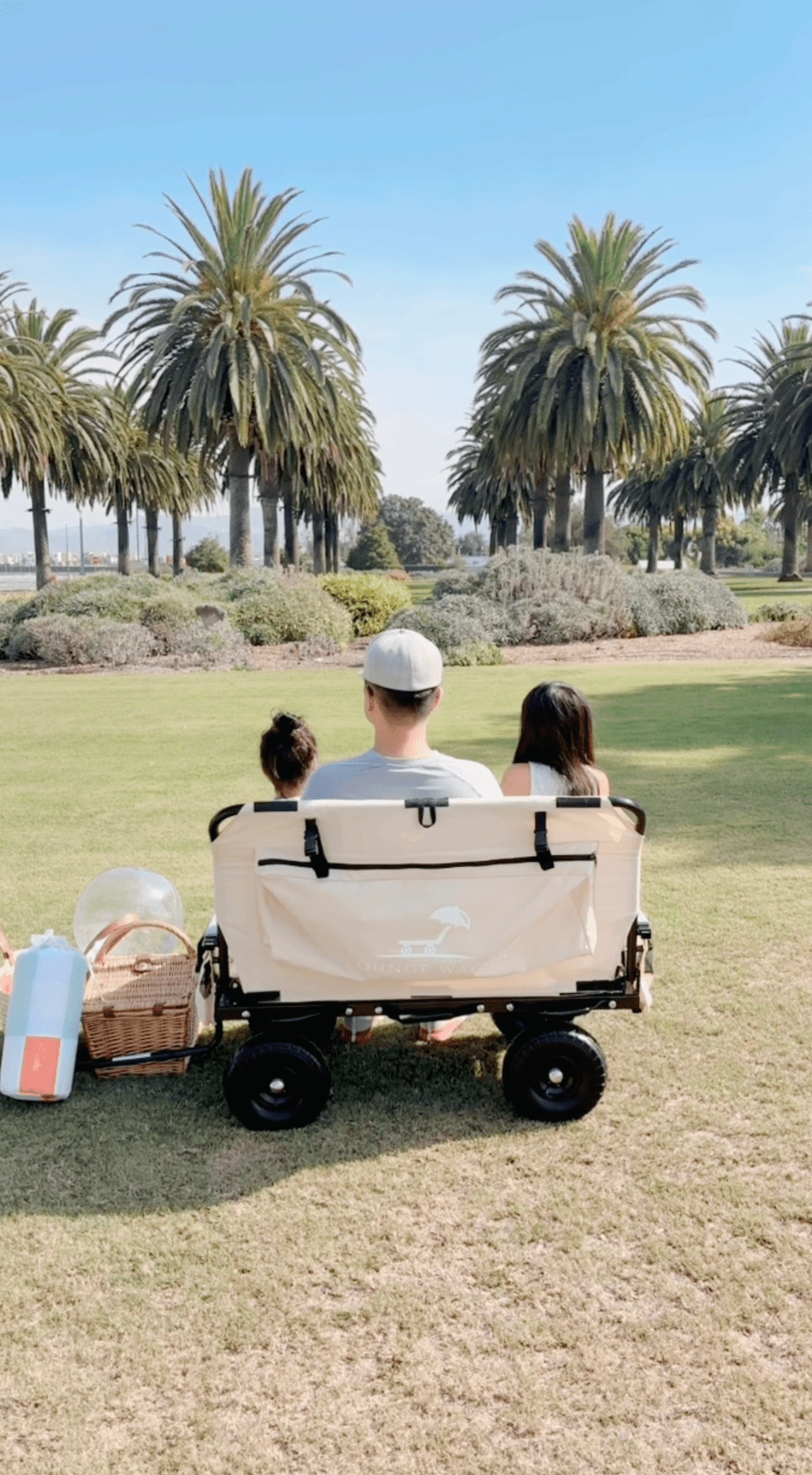 The Ultimate Cane Turns Into Chair Guide for 2026 - Lounge Wagon