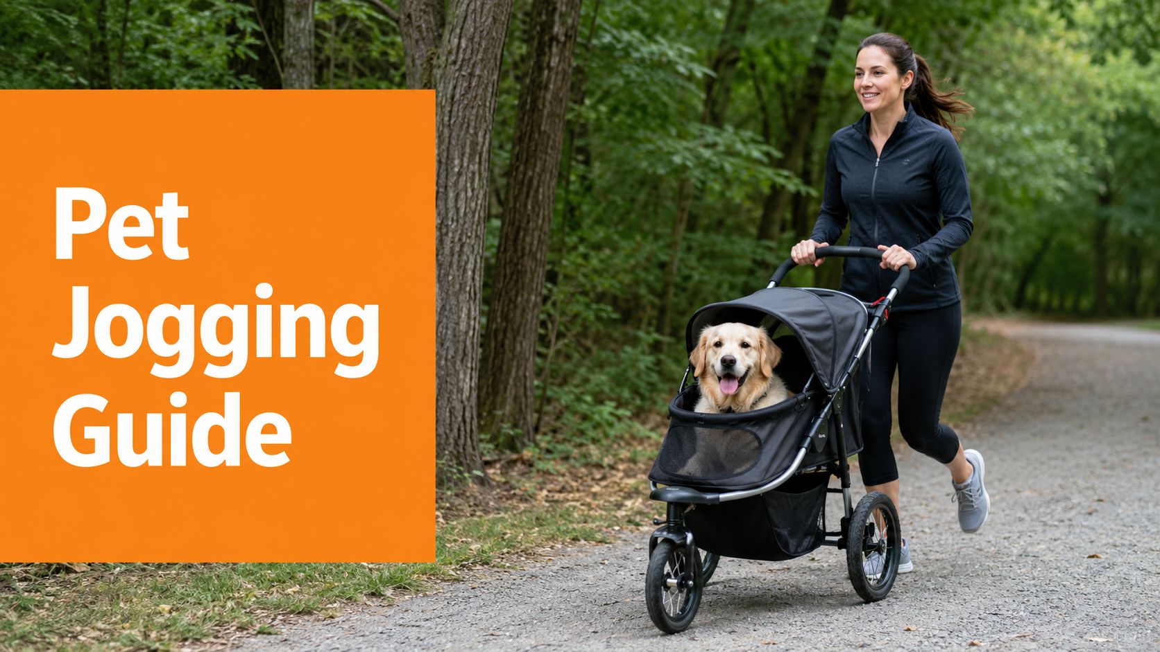 The Ultimate Pet Jogging Stroller Guide for Active Owners - Lounge Wagon