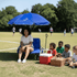 Lounge Wagon - Wagon, Seating & Shade - Lounge Wagon