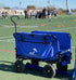 The Sideline Setup - Most Popular - Lounge Wagon